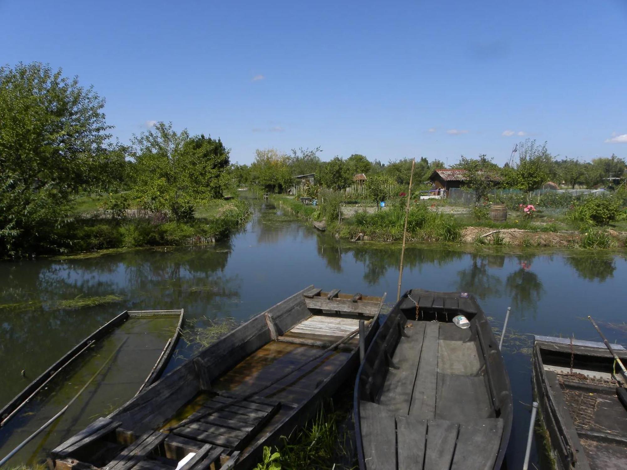 Nature Et Bord D'Etang A Jars Εξωτερικό φωτογραφία